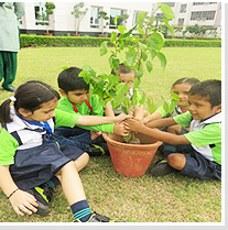 Go Green at ShreeRam World School